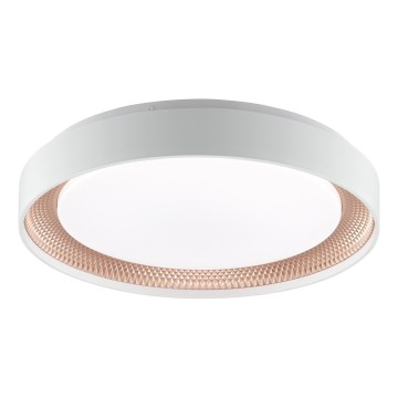 Brilliant - LED Dimmable Ceiling Light WALDO LED/24W/230V 3000-6500K Ø 38.5 cm white/rose gold + remote control