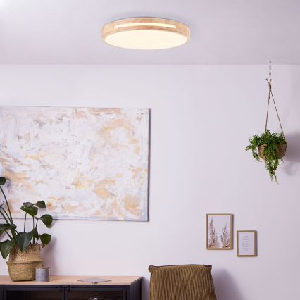 Brilliant - LED Dimmable ceiling light WOODBURY LED/24W/230V d. 39 cm rubber fig - FSC certified