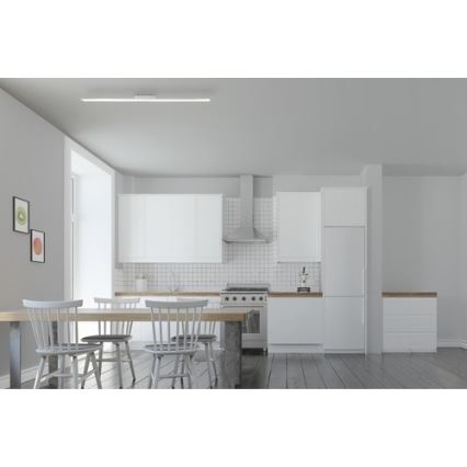 Brilliant - LED Dimmable panel CHARLA LED/22W/230V 7x120 cm 3000K