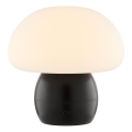 Brilliant - LED Dimmable Rechargeable Touch-Sensitive Table Lamp DUPIS LED/2W/5V 2700K 1800 mAh Black