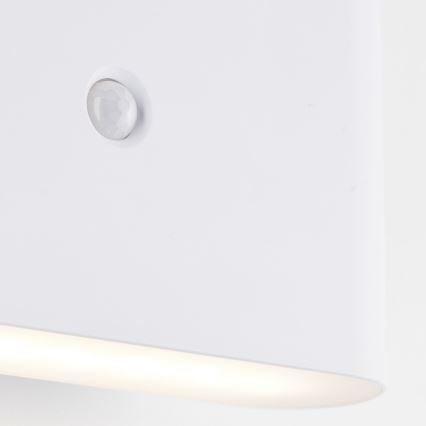 Brilliant - LED Outdoor rechargeable wall light with sensor XINO LED/3W/5V IP44 white