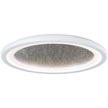Brilliant - LED RGBW Dimmable ceiling light TANIDA LED/22W/230V 3000-6500K+ remote control