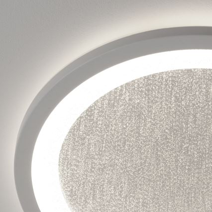 Brilliant - LED RGBW Dimmable ceiling light TANIDA LED/22W/230V 3000-6500K+ remote control