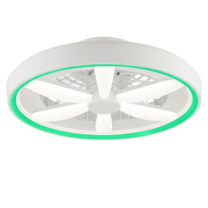 Brilliant - LED RGBW Dimmable ceiling fan with a light GAIANO LED/48W/230V 2700-6500K white + remote control