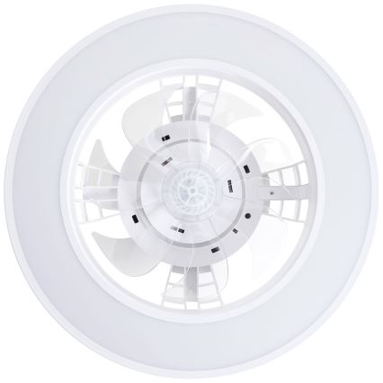 Brilliant - LED RGBW Dimmable ceiling fan MONDELLO LED/26W/230V 2700-6500K d. 41,5 cm white + remote control