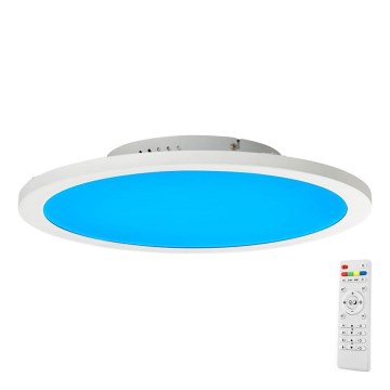 Brilliant - LED RGBW Dimmable ceiling light ABIE LED/24W/230V 2700-6500K + remote control