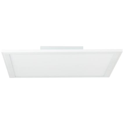 Brilliant - LED RGBW Dimmable ceiling light ABIE LED/24W/230V 2700-6500K + remote control