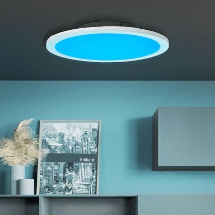 Brilliant - LED RGBW Dimmable ceiling light ABIE LED/24W/230V 2700-6500K + remote control