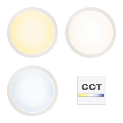 Brilliant - LED RGBW Dimmable ceiling light ABIE LED/24W/230V 2700-6500K + remote control
