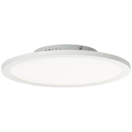 Brilliant - LED RGBW Dimmable ceiling light ABIE LED/24W/230V 2700-6500K + remote control