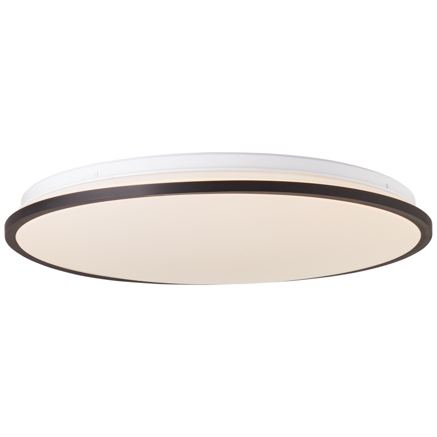 Brilliant - LED RGBW Dimmable ceiling light HEIDA LED/30W/230V 3000-6500K + remote control