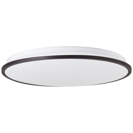Brilliant - LED RGBW Dimmable ceiling light HEIDA LED/30W/230V 3000-6500K + remote control