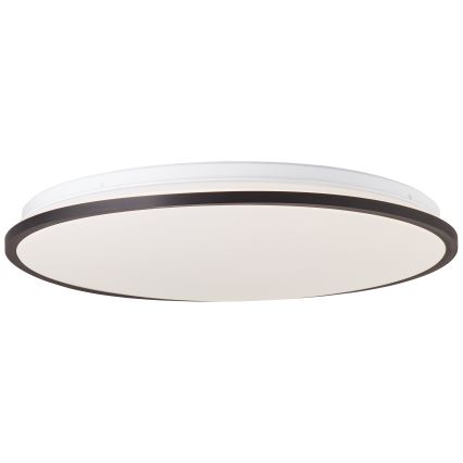 Brilliant - LED RGBW Dimmable ceiling light HEIDA LED/30W/230V 3000-6500K + remote control