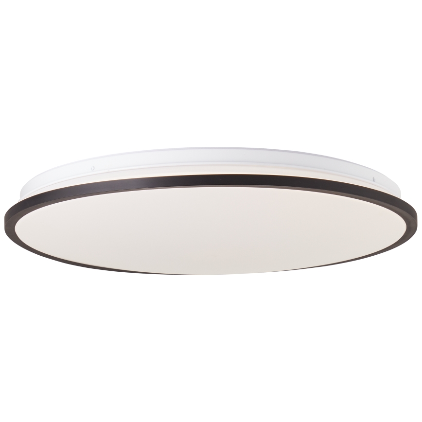 Brilliant - LED RGBW Dimmable ceiling light HEIDA LED/30W/230V 3000-6500K + remote control