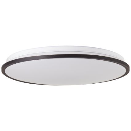 Brilliant - LED RGBW Dimmable ceiling light HEIDA LED/30W/230V 3000-6500K + remote control