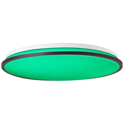 Brilliant - LED RGBW Dimmable ceiling light HEIDA LED/30W/230V 3000-6500K + remote control