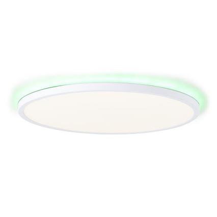 Brilliant - LED RGBW Dimmable ceiling light SALTERY LED/22W/230V 3000-6500K + remote control