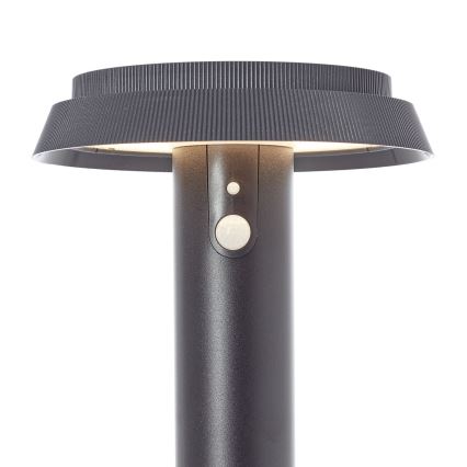 Brilliant - LED Solar lamp with sensor ALVERO LED/4W/3,7V 2000 mAh 50 cm IP44 black