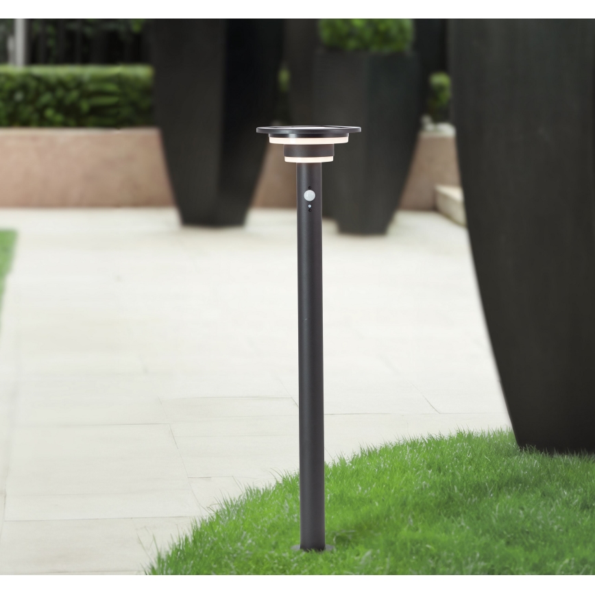 Brilliant - LED Solar lamp with sensor GARVINA LED/3W/3,7V 85 cm IP44 black
