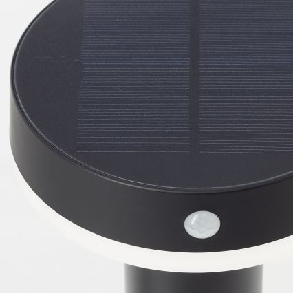 Brilliant - LED Solar lamp with sensor MAGUA LED/4W/3,7V 50,2 cm IP44 black