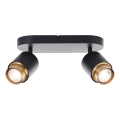 Brilliant - LED Spotlight COVELO 2xGU10/5W/230V black/gold