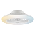 Brilliant - MONTERO LED dimmable ceiling light with fan LED/20W/230V 2700-6500K Ø42 cm white + remote control