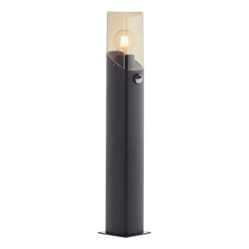 Brilliant - Outdoor lamp with sensor MINOU 1xE27/10W/230V IP44 black/smoky