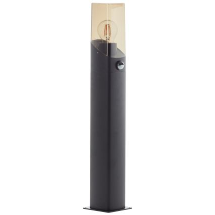 Brilliant - Outdoor lamp with sensor MINOU 1xE27/10W/230V IP44 black/smoky