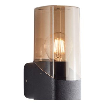 Brilliant - Outdoor wall light MINOU 1xE27/10W/230V IP44 black/smoky