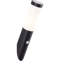 Brilliant - Outdoor wall light with a sensor KALEO 1xE27/10W/230V IP44 black