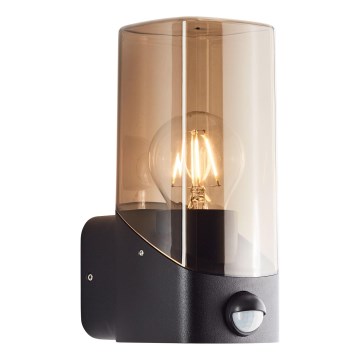 Brilliant - Outdoor wall light with a sensor MINOU 1xE27/10W/230V IP44 black/smoky