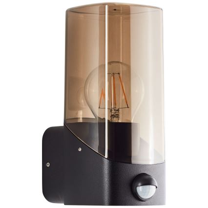 Brilliant - Outdoor wall light with a sensor MINOU 1xE27/10W/230V IP44 black/smoky