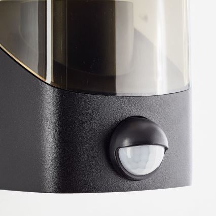 Brilliant - Outdoor wall light with a sensor MINOU 1xE27/10W/230V IP44 black/smoky