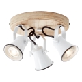 Brilliant - SEED 3xGU10/5W/230V spotlight white/beige