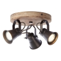 Brilliant - SEED Spotlight 3xGU10/5W/230V Black/Brown