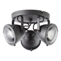 Brilliant - Spotlight CARMEN 3xGU10/5W/230V black