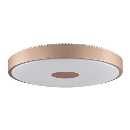 Brilliant - TAVIS LED Ceiling Light LED/24W/230V Ø 44.5 cm Rose Gold