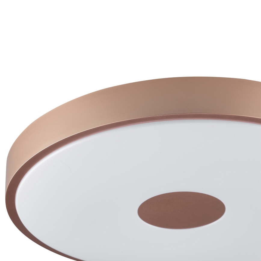 Brilliant - TAVIS LED Ceiling Light LED/24W/230V Ø 44.5 cm Rose Gold