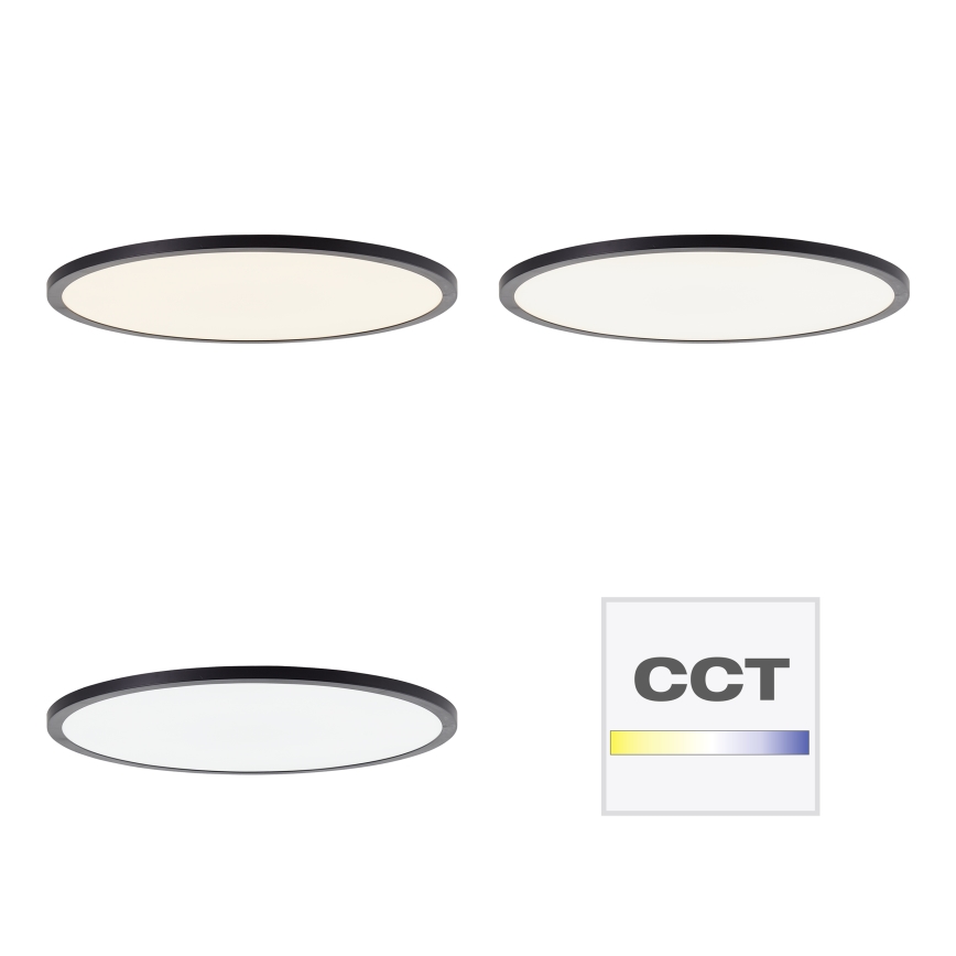 Brilliant - Dimmable LED ceiling light TUCO LED/33W/230V 3000-6500K Ø 50 cm black + remote control