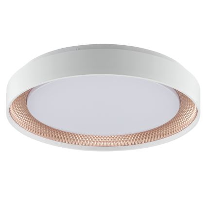 Brilliant - LED Dimmable Ceiling Light WALDO LED/24W/230V 3000-6500K Ø 38.5 cm white/rose gold + remote control
