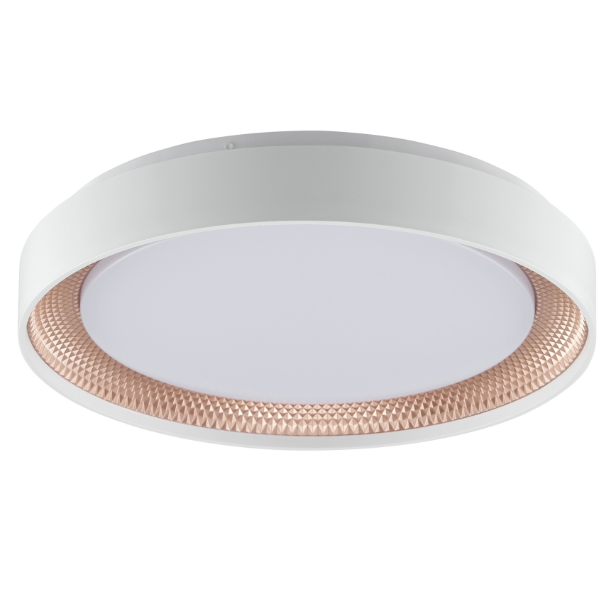 Brilliant - LED Dimmable Ceiling Light WALDO LED/24W/230V 3000-6500K Ø 38.5 cm white/rose gold + remote control
