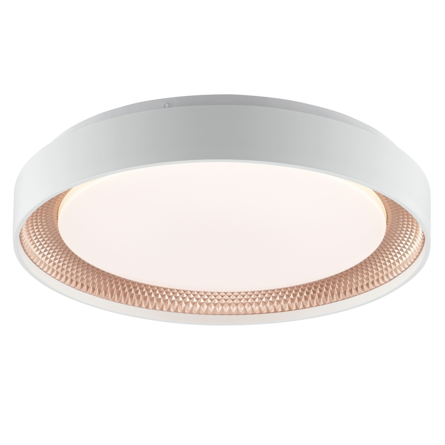 Brilliant - LED Dimmable Ceiling Light WALDO LED/24W/230V 3000-6500K Ø 38.5 cm white/rose gold + remote control