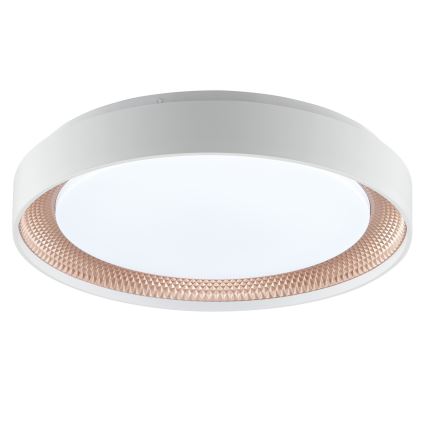Brilliant - LED Dimmable Ceiling Light WALDO LED/24W/230V 3000-6500K Ø 38.5 cm white/rose gold + remote control