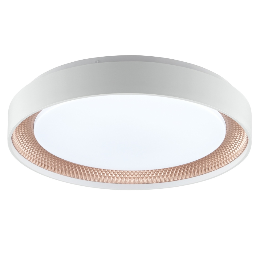 Brilliant - LED Dimmable Ceiling Light WALDO LED/24W/230V 3000-6500K Ø 38.5 cm white/rose gold + remote control