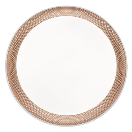 Brilliant - LED Dimmable Ceiling Light WALDO LED/24W/230V 3000-6500K Ø 38.5 cm white/rose gold + remote control