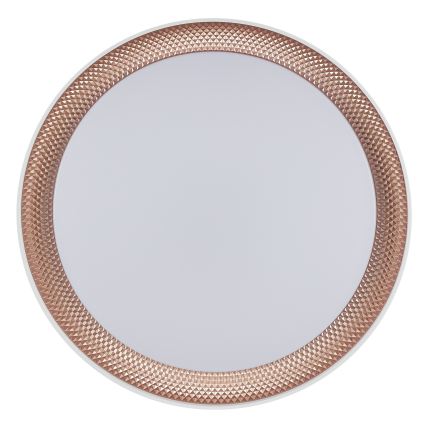 Brilliant - LED Dimmable Ceiling Light WALDO LED/24W/230V 3000-6500K Ø 38.5 cm white/rose gold + remote control