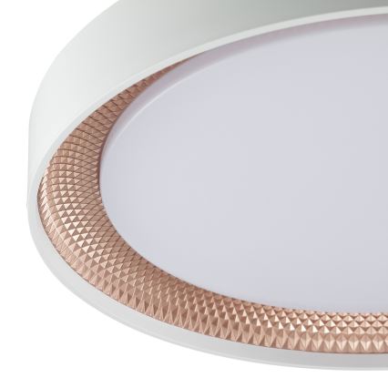 Brilliant - LED Dimmable Ceiling Light WALDO LED/24W/230V 3000-6500K Ø 38.5 cm white/rose gold + remote control
