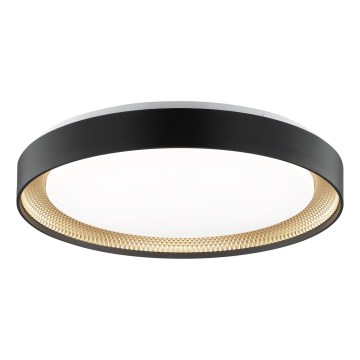 Brilliant - WALDO Dimmable LED Ceiling Light LED/36W/230V 3000-6500K Ø 48.5 cm Black/Gold + Remote Control