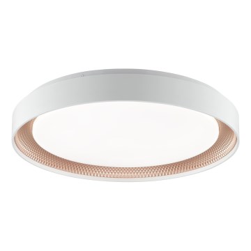 Brilliant - WALDO LED Dimmable Ceiling Light, 36W/230V, 3000–6500K, Ø 48.5 cm, White/Rose Gold + Remote Control