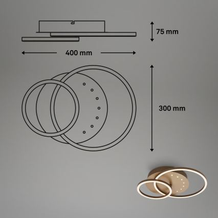 Brilo - Dimmable LED Ceiling Light, 26W/230V, 3000K, Brown